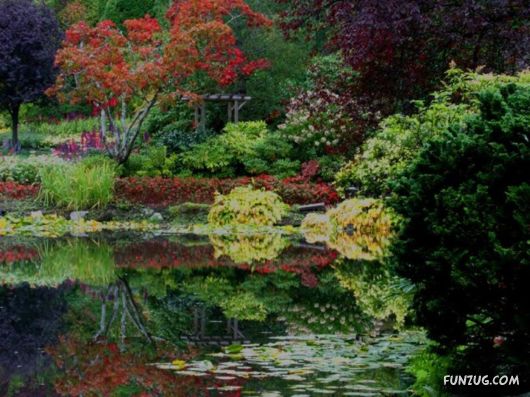 Beautiful Gardens In Full Bloom