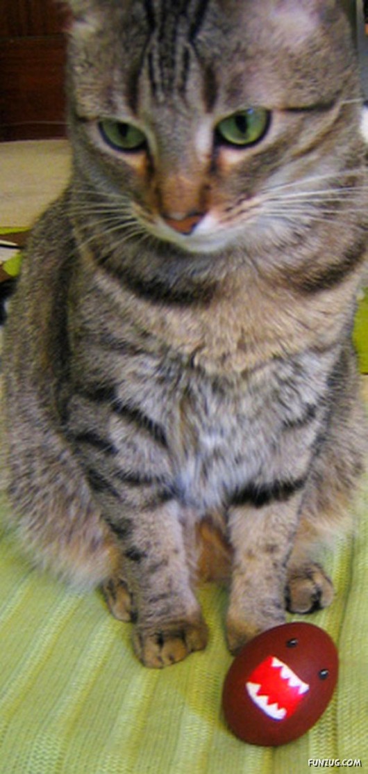 Amazing Artwork on Eggs