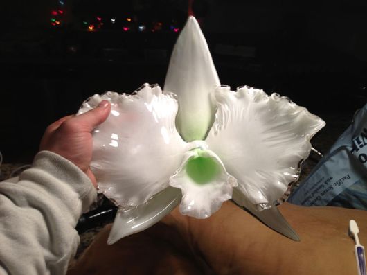 Artist Creates Gigantic Flowers Out Of Glass 