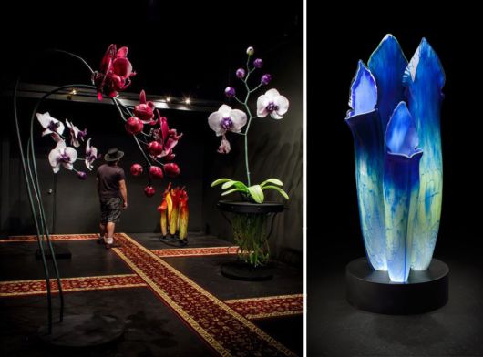 Artist Creates Gigantic Flowers Out Of Glass 