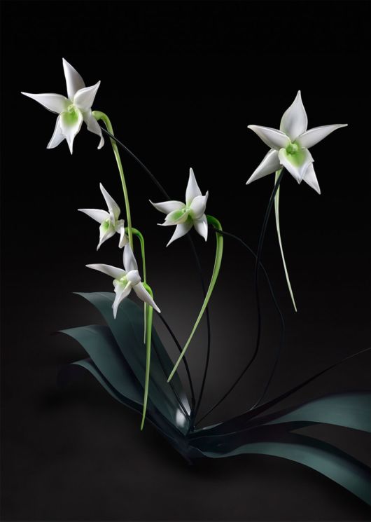 Artist Creates Gigantic Flowers Out Of Glass 