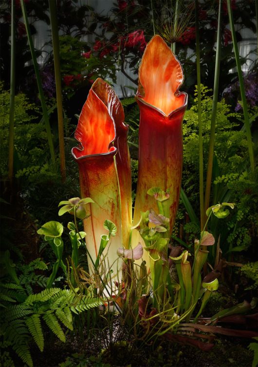 Artist Creates Gigantic Flowers Out Of Glass 