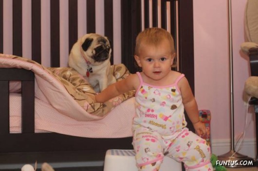 Babysitters of the Future