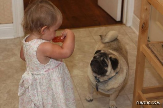 Babysitters of the Future