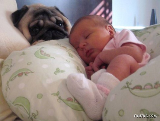 Babysitters of the Future