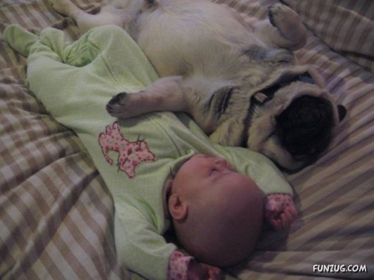 Babysitters of the Future