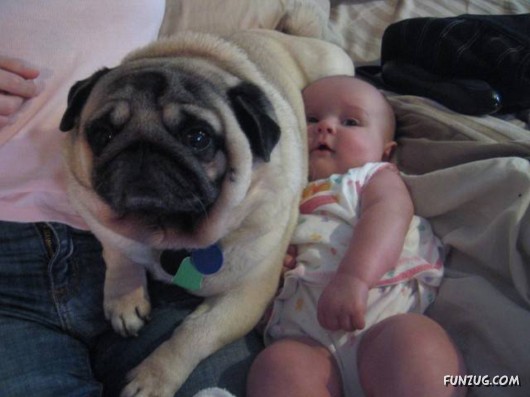 Babysitters of the Future