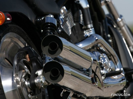 Black Beauty from Harley Davidson