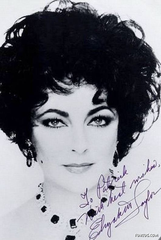 Famous Celebs Autographs Collection