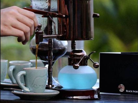 Coffee From An Elephant's Gut Fills A $50 Cup