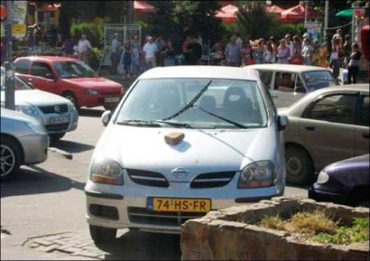 The Cruel Car Revenge