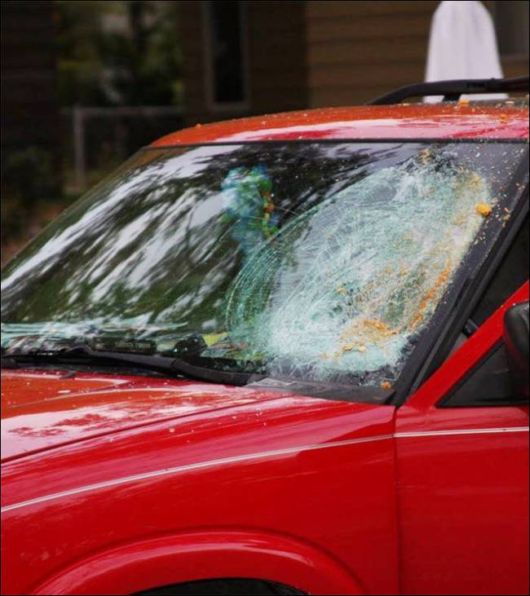 The Cruel Car Revenge