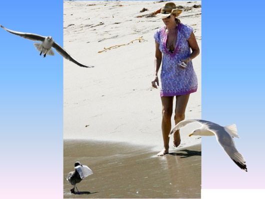 Crazy Ice-Cream Lover Birds