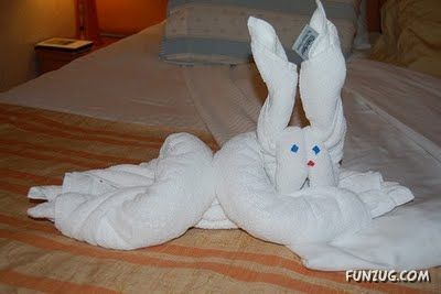 Try Making Such Wonderful Creations With Towel