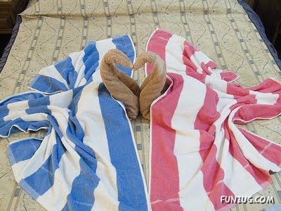 Try Making Such Wonderful Creations With Towel