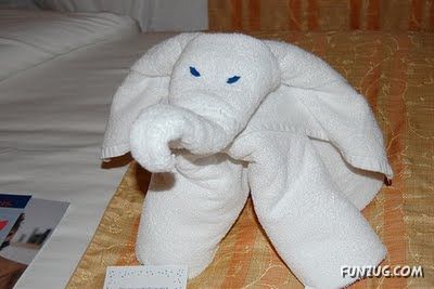 Try Making Such Wonderful Creations With Towel