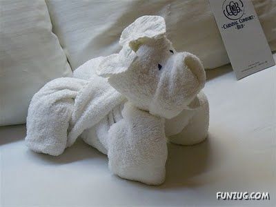 Try Making Such Wonderful Creations With Towel