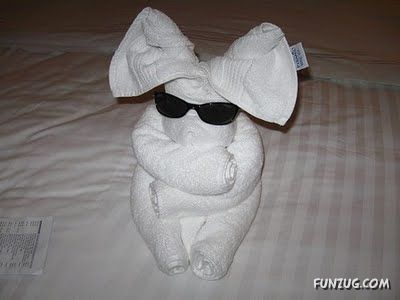 Try Making Such Wonderful Creations With Towel