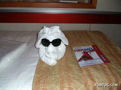 Try Making Such Wonderful Creations With Towel