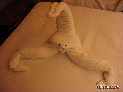 Try Making Such Wonderful Creations With Towel