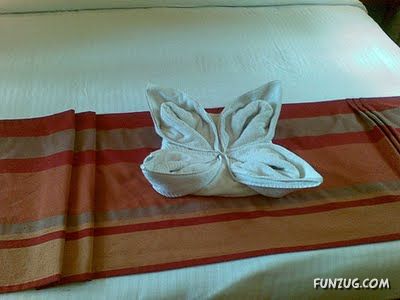 Try Making Such Wonderful Creations With Towel