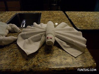 Try Making Such Wonderful Creations With Towel