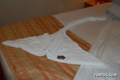 Try Making Such Wonderful Creations With Towel
