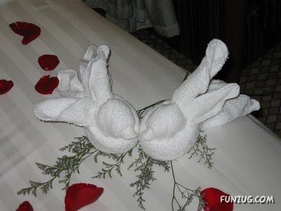 Try Making Such Wonderful Creations With Towel
