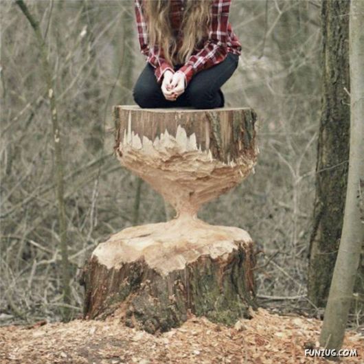 Awesome Daily Funny Pictures