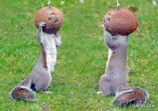 Awesome Daily Funny Pictures