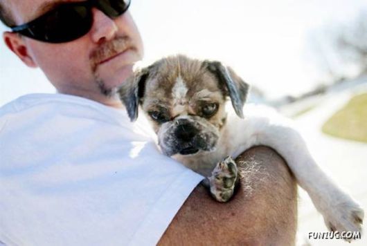 Awesome Daily Funny Pictures