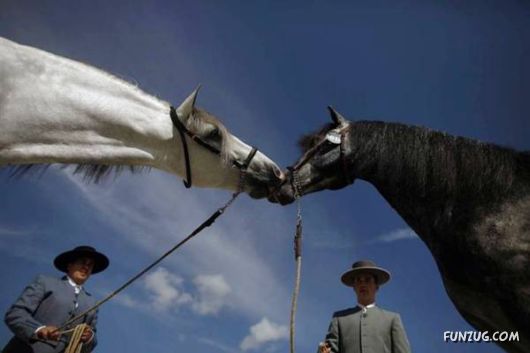 Awesome Daily Funny Pictures