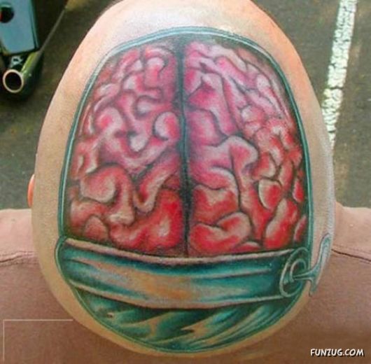 Awesome Daily Funny Pictures