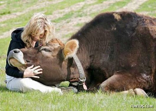 Awesome Daily Funny Pictures