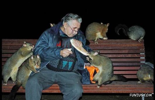 Cool Daily Funny Pix