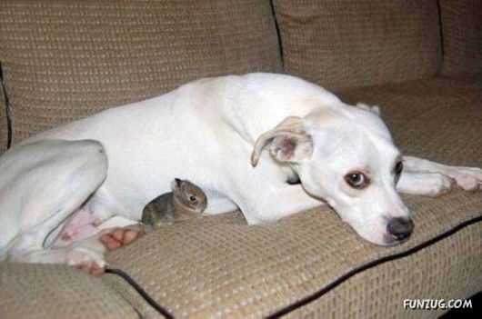 Cool Daily Funny Pix