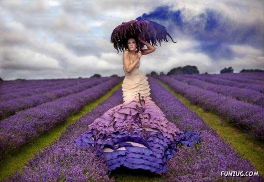 Cool Daily Funny Pix