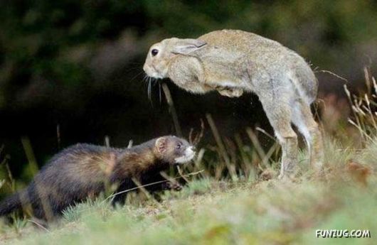 Cool Daily Funny Pix