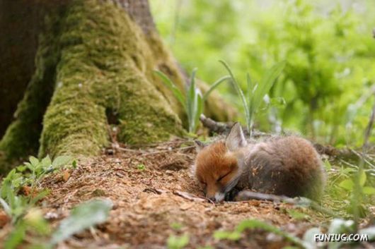 Cool Daily Funny Pix