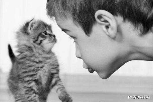 Cool Pic To Make You Smile