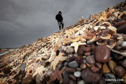 Cool Pic To Make You Smile