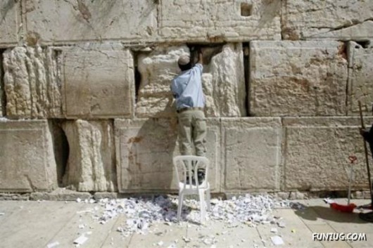 Cool Pic To Make You Smile