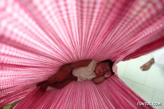 Cool Pic To Make You Smile