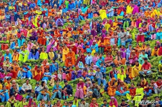 Cool Pic To Make You Smile