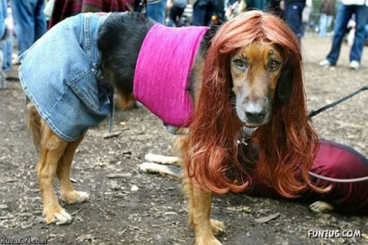 Cool Pic To Make You Smile