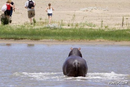 Cool Pic To Make You Smile