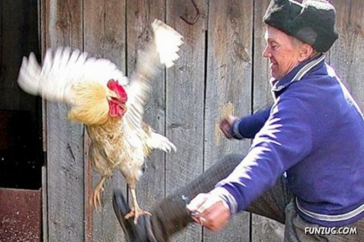 Cool Pic To Make You Smile