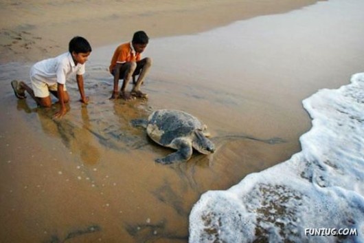 Cool Pic To Make You Smile