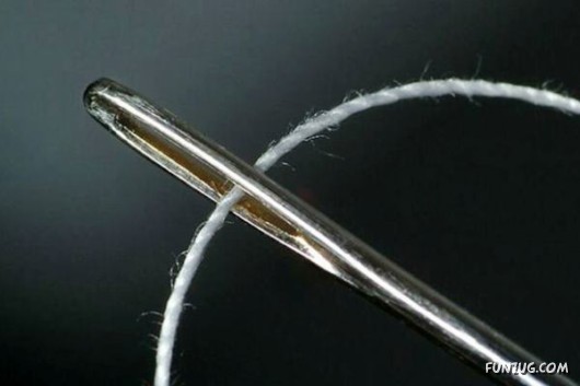 Cool Pic To Make You Smile