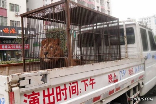 Cool Pic To Make You Smile